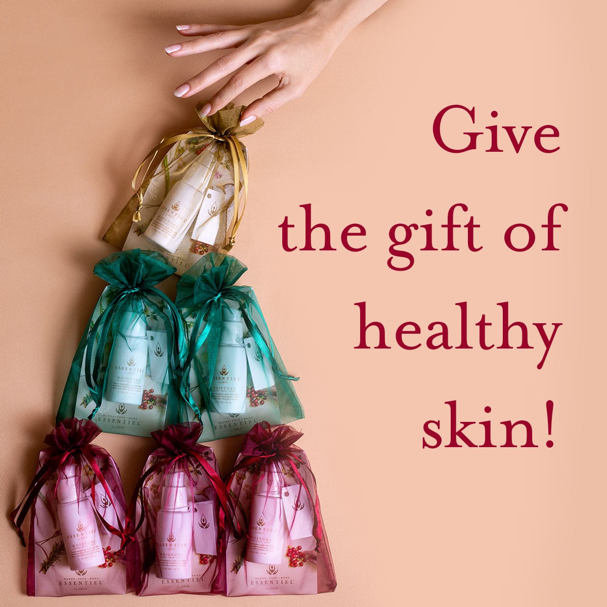 4+1 Travel Size Moisture Bundle